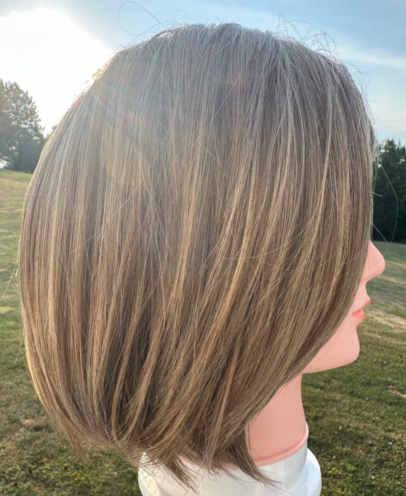 Scarlett Wig By Envy in Color Toasted Sesame