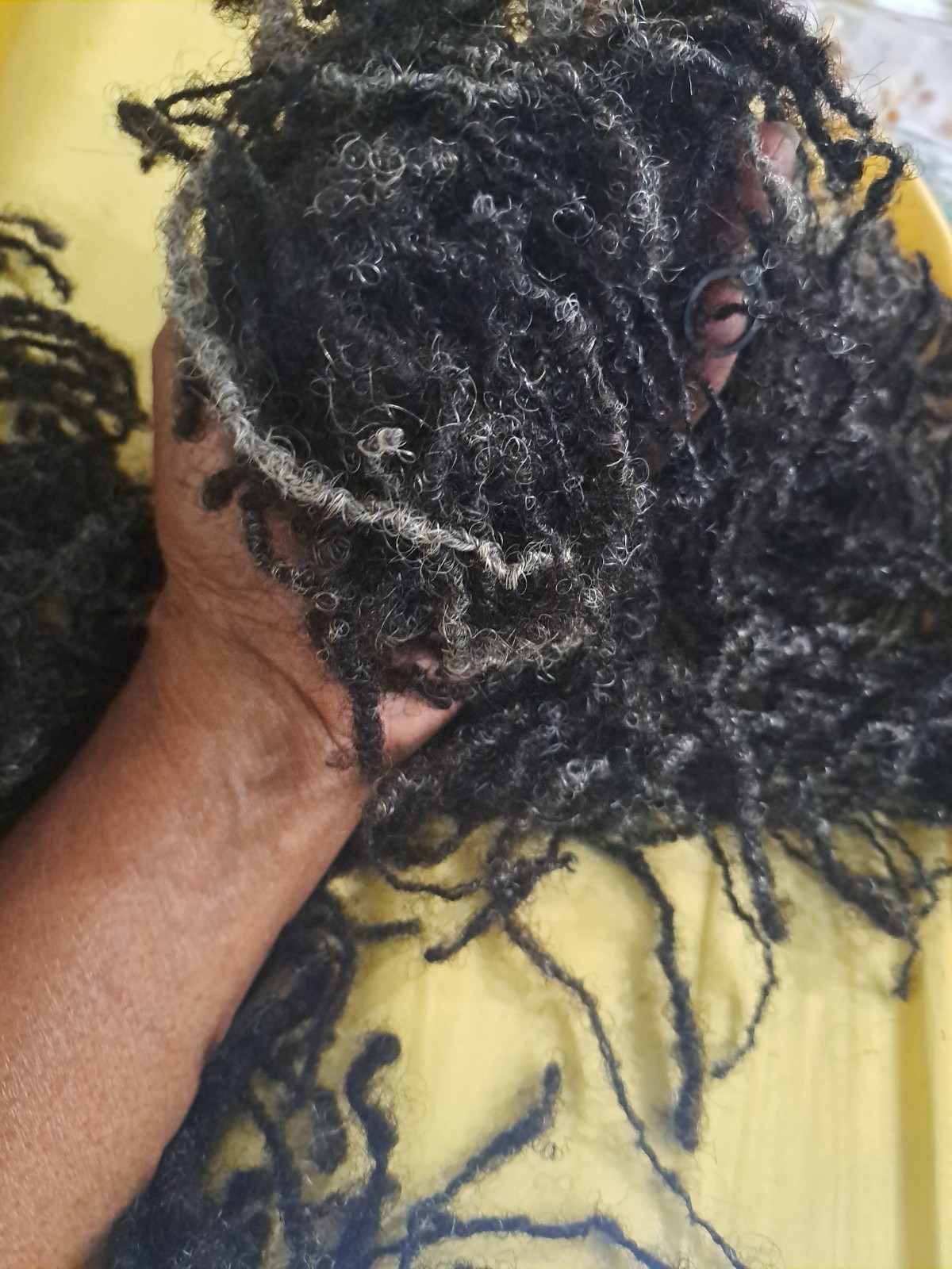 Locs !! I Just Cut My Hair Locs (Locks) 100% Human(mine)