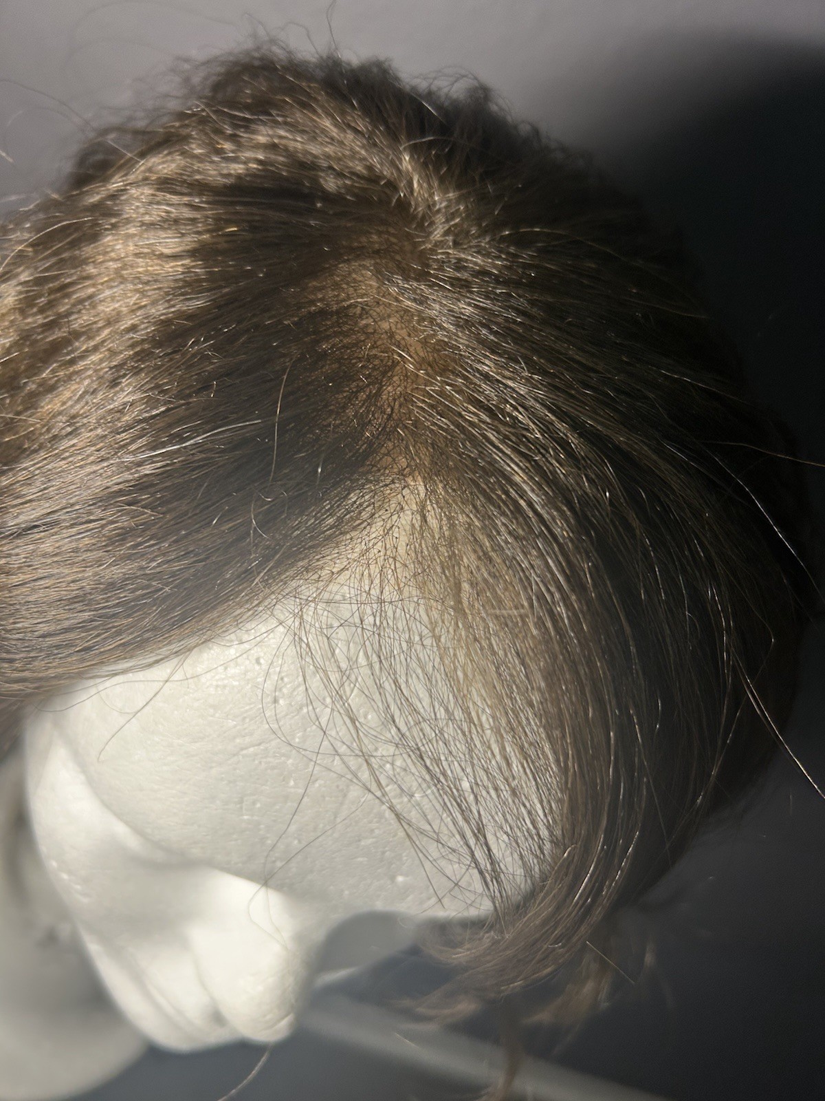 Raquel Welch editors Pick Wig