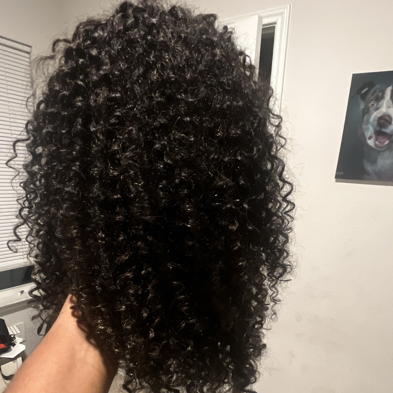 Lace Front Curly Human Hair Wig for Women Black Shade 21-30 in One Size