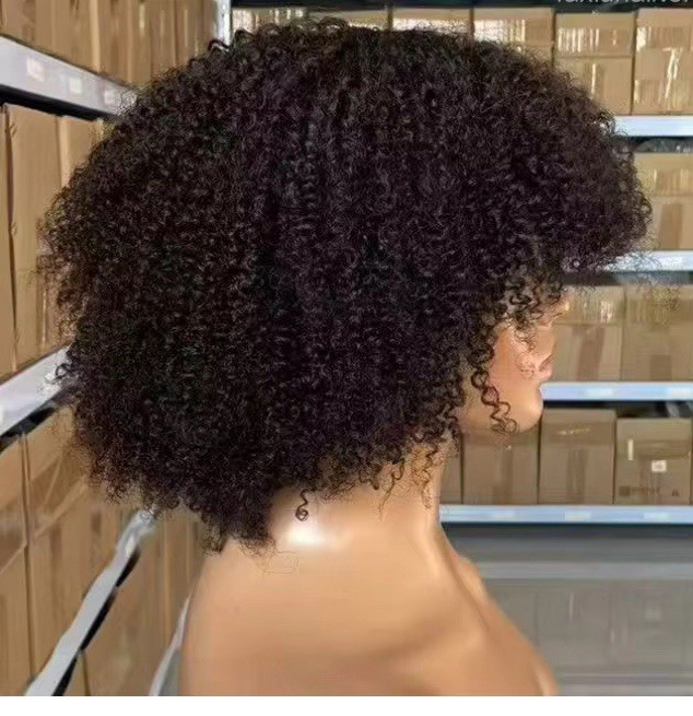 Kinky-Curly Afro Human Hair Wig Brazilian 200% Density