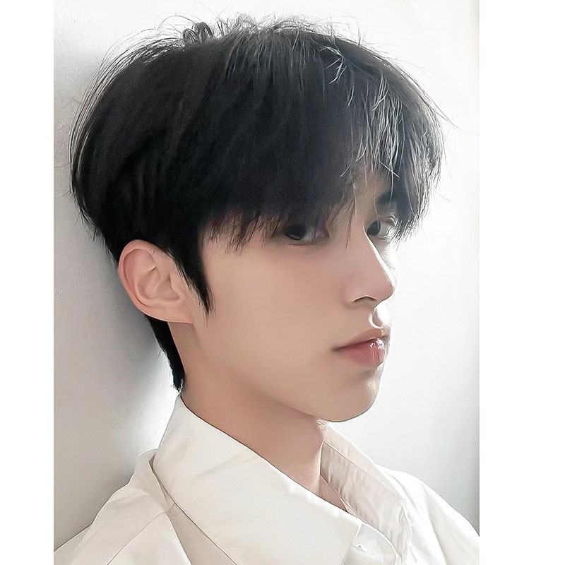 Short Full Hand-made Wig Genuine 100% Natural Hair Men Hairpiece Toupee Wig