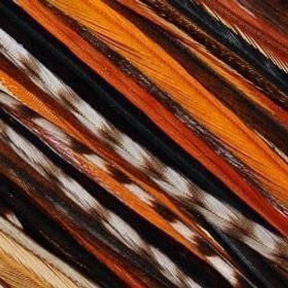 4-6 inch Natural Rainbow Remix 100% Real Hair 5 Feather Extensions bonded at the