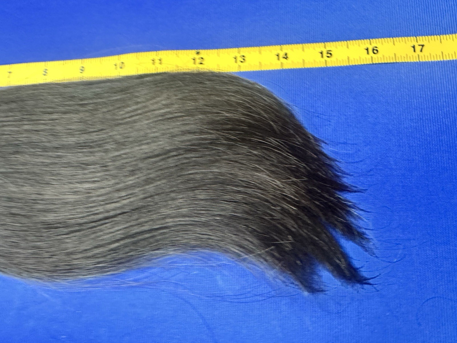 1436 human hair 16 Inch 0.17 Ib, 80 Gr