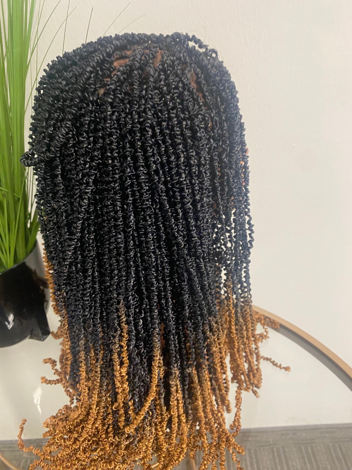 African Coily Twists Black to Gold brown fade