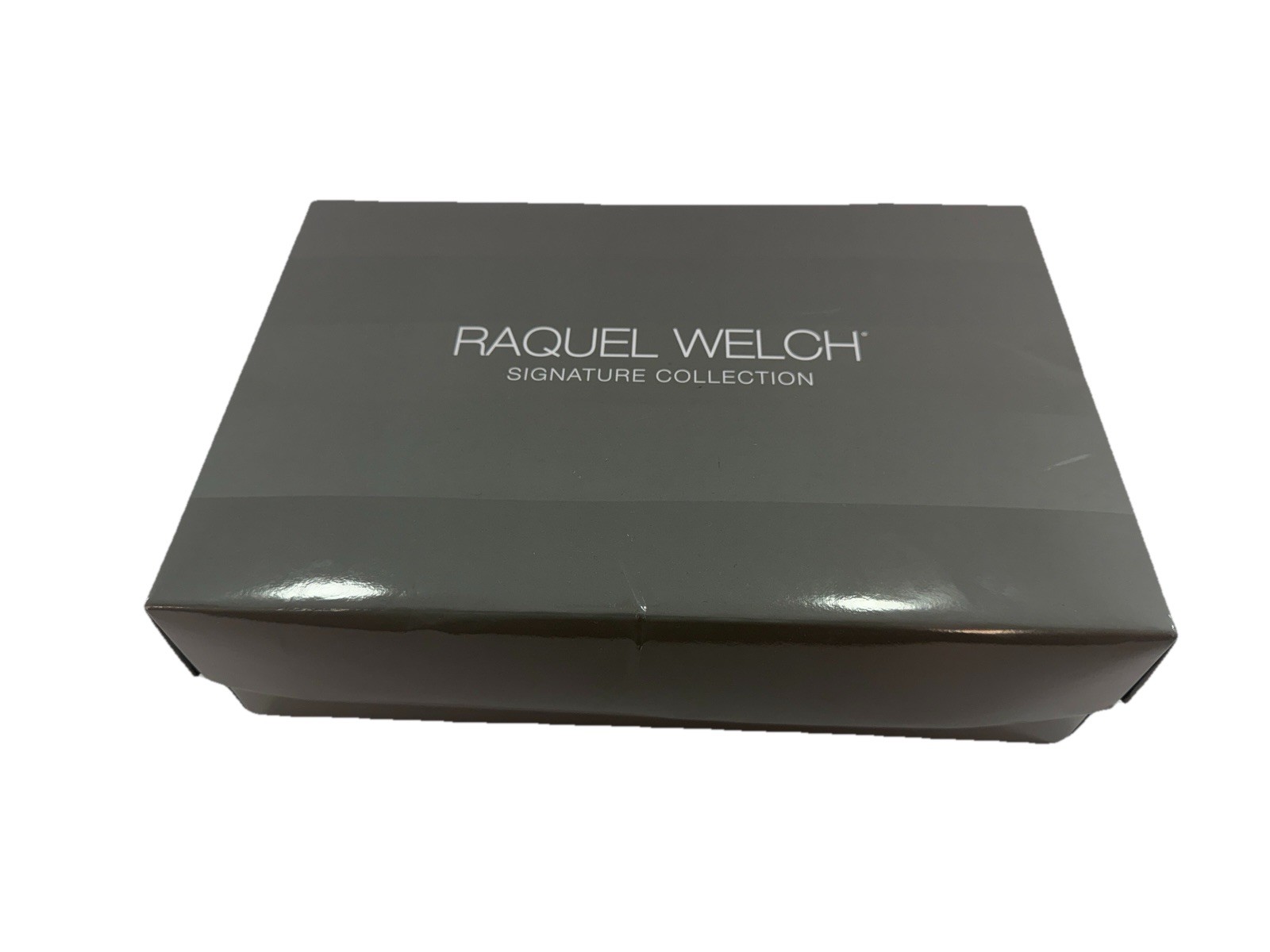 Raquel Welch Trend Setter WigR119G Gradient Smoke Color Large Size by Hairuwear