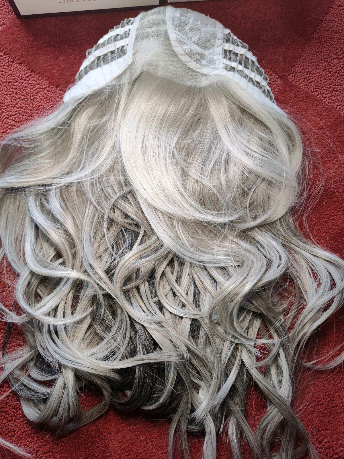 Raquel Welch Runway Rehearsal Iced Granita 🖤 Long HF Synthetic Wig