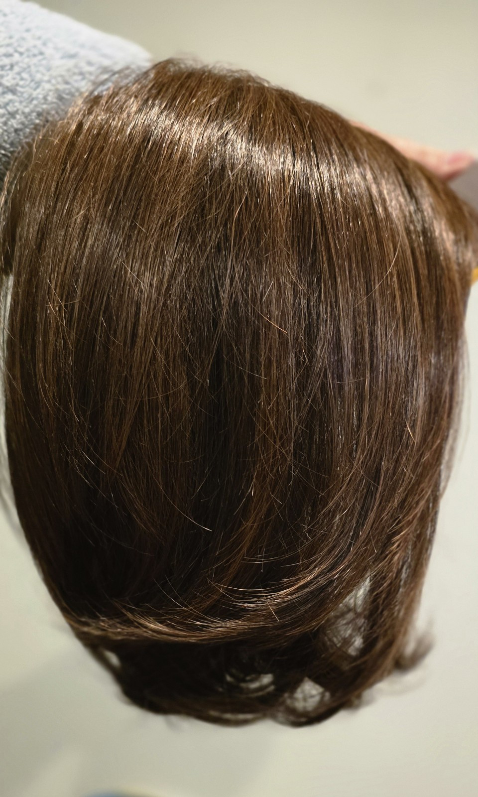 UPSTAGE WIG Raquel Welch RL6/30 Copper Mahogany – Average