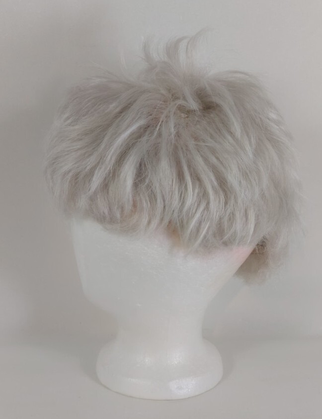 Aspen Designers Choice Wig,