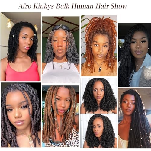 Afro Kinky Curly Braiding Bulk Hair For Mini 16 Inch (Pack of 3) Honey Blonde#