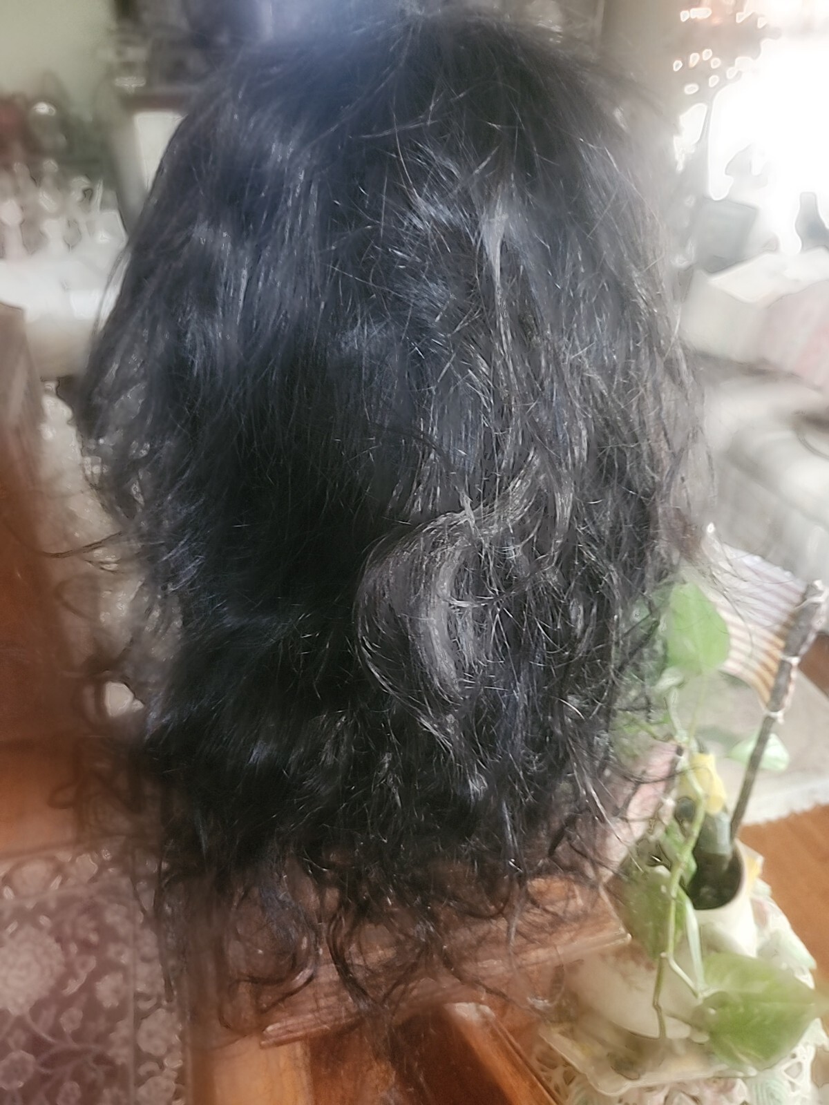 Beautiful Life Human Hair Wig NWOT