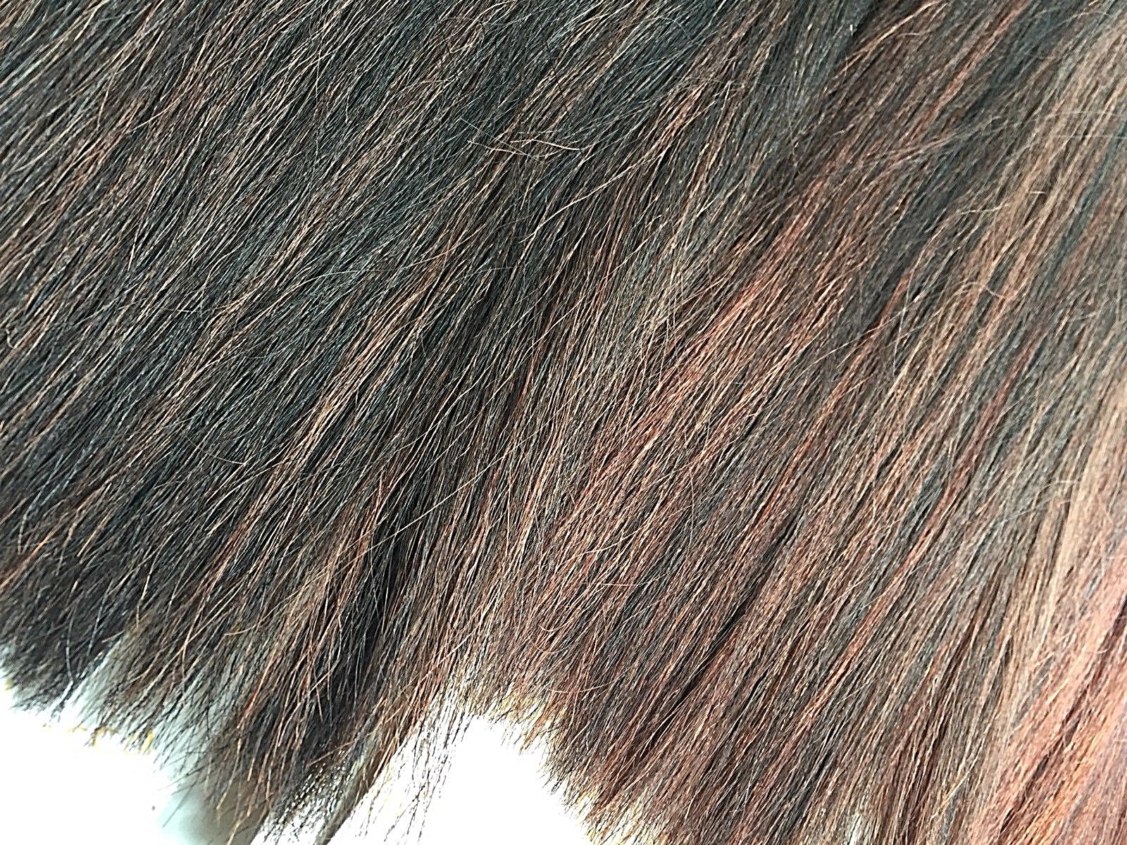 100% Human Hair For Weaving, 12″ Long Yaki Perm Style by Rebecca Collection!