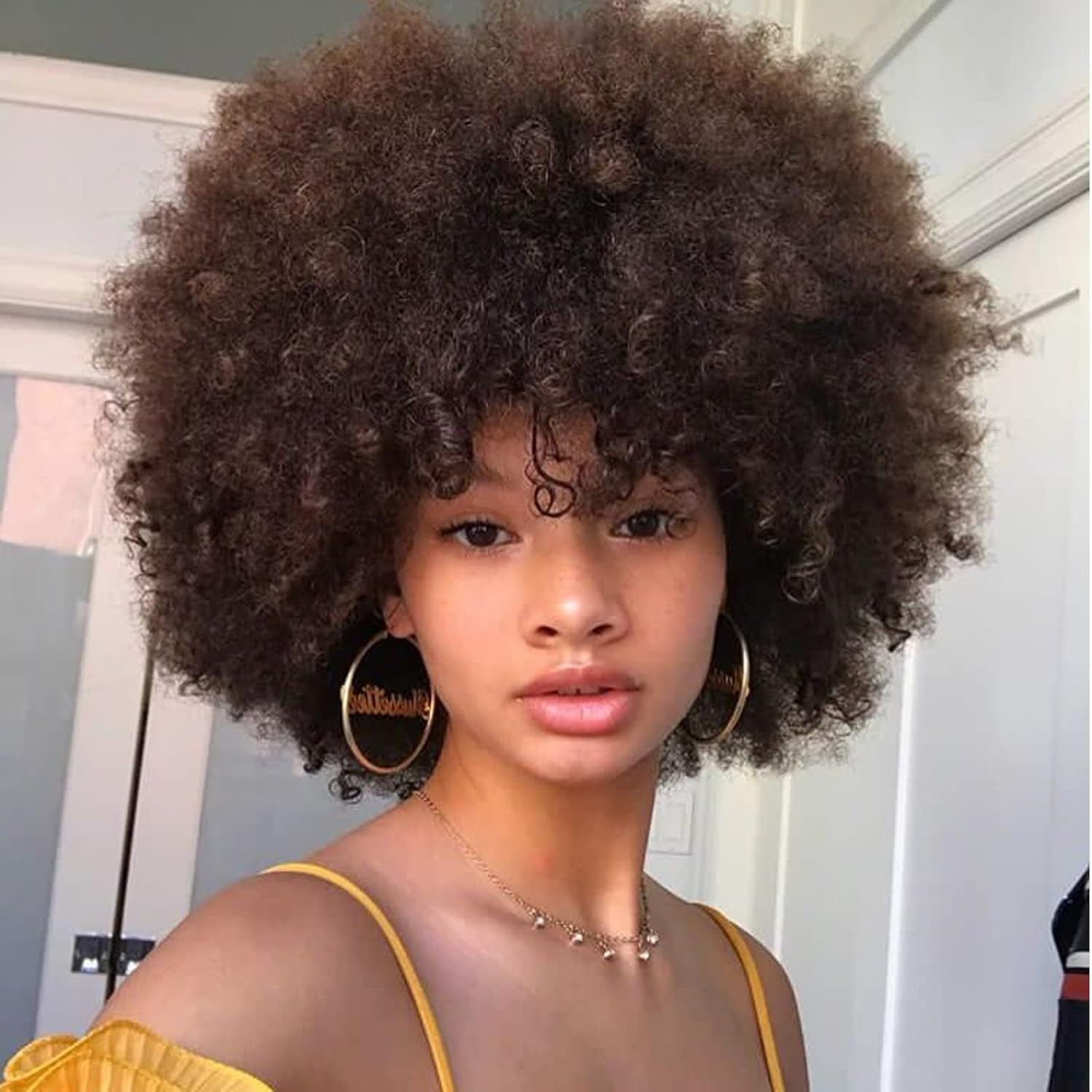 Puffy Afro Wig for Black Women, Light Brown Afro Wigs 70S Large Bouncy and Soft