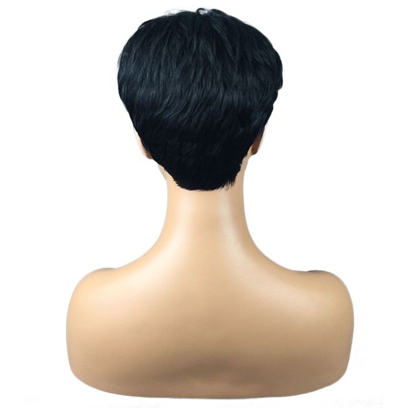Women 24cm Short Synthetic Wig Soft Hair Fashion Daily Party Casual Accessory