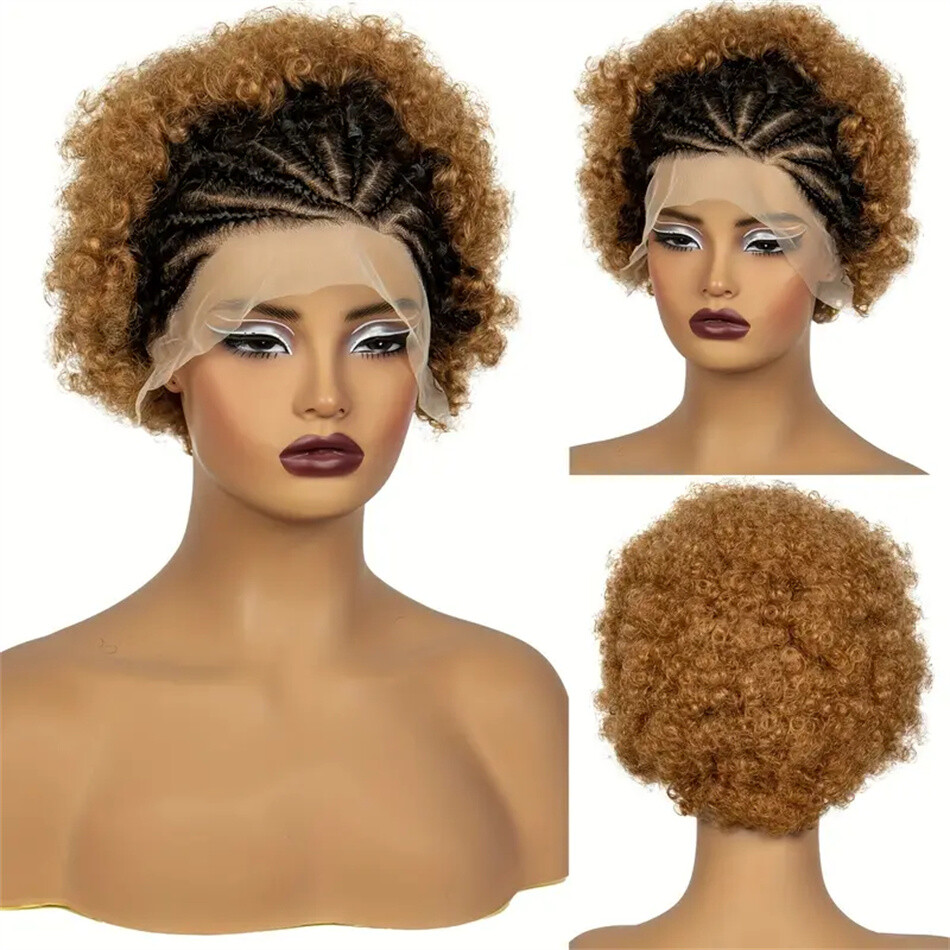 Afro Kinky Curly 13X4 Lace Front Wig 200% Density Human Hair Wig