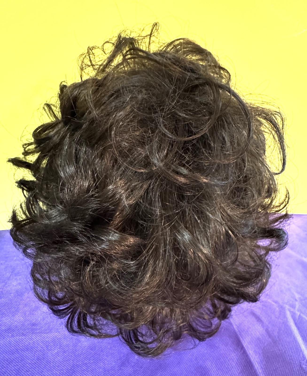 Paula Young A2412 Brunette Wig – Average 8 (Preowned)