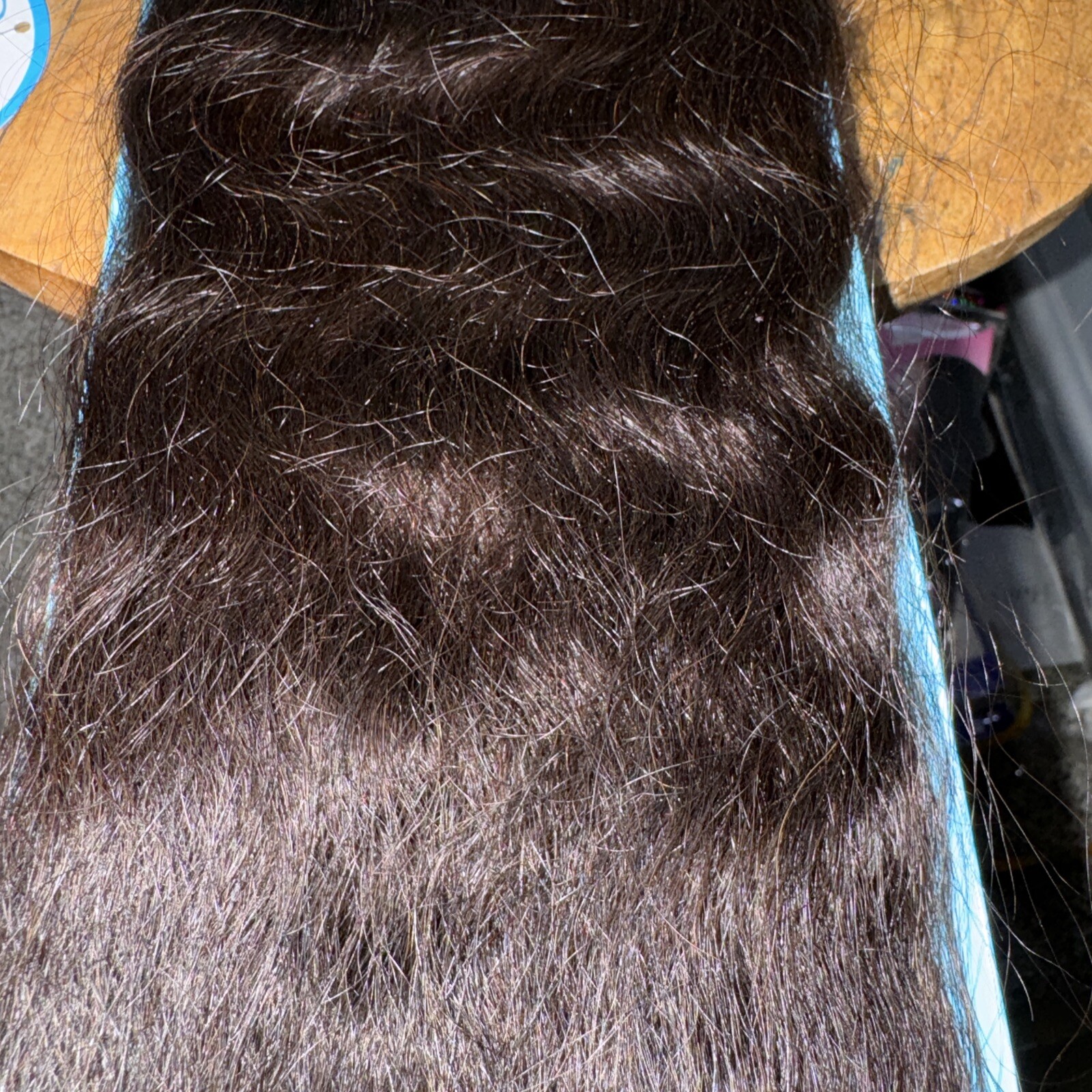 Sexy Soft Rain 100% Human Hair 12” WEFT COLOR 2