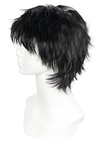 Short Black Men Fluffy Straight Cosplay Heat Resistant Halloween Wig