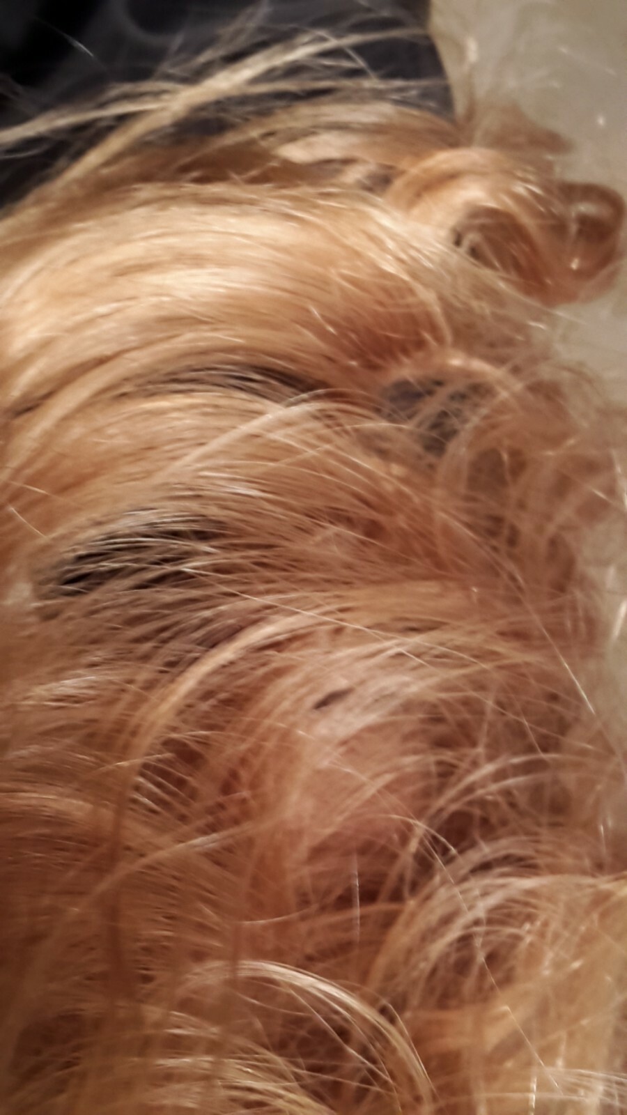 Real Virgin Human hair in auburn/strawberry blonde – cut to length