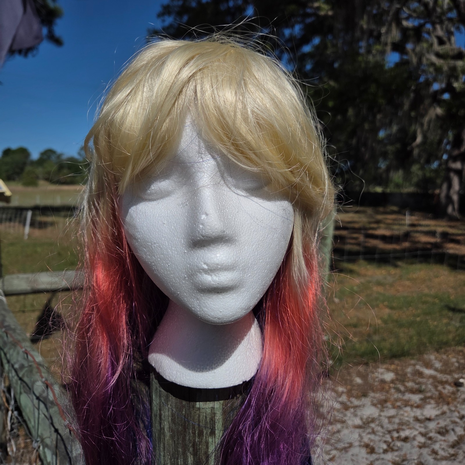 Jon Renau Full Lace Front Wig Long Colorful Bright Pride Blonde Bangs Dyed