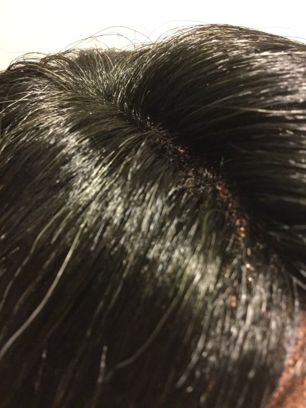 NWT Bobbi Silver & Black Lace Front Hand-Tied Part High Heat Fiber Wig