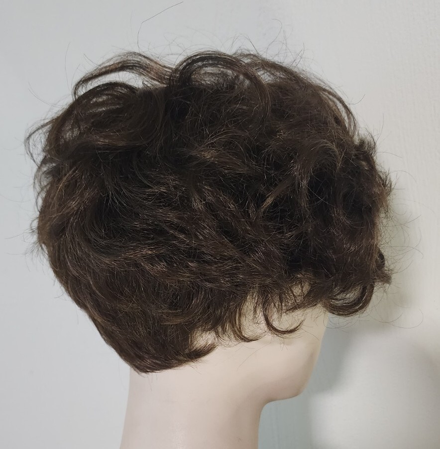 Paula Young Joy A3269 Brunette Short Wavy Bangs Wig Fun Casual Curl
