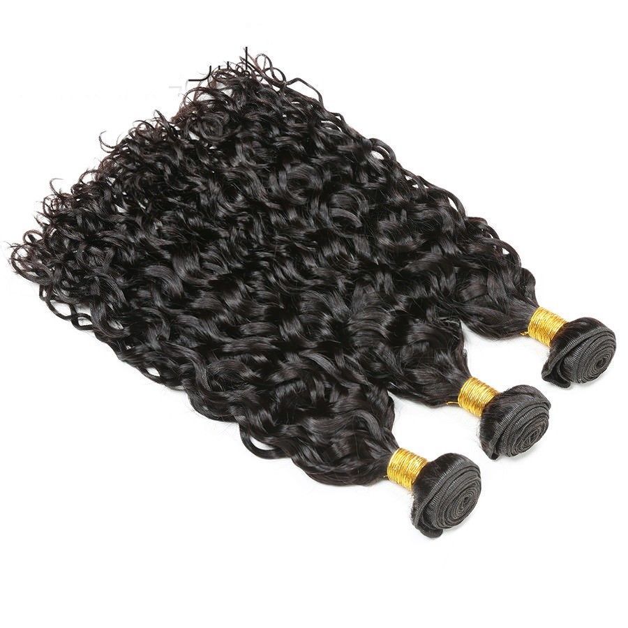 Water Wave Brazilian Virgin human Hair 2 Bundles with Lace Frontal natural black