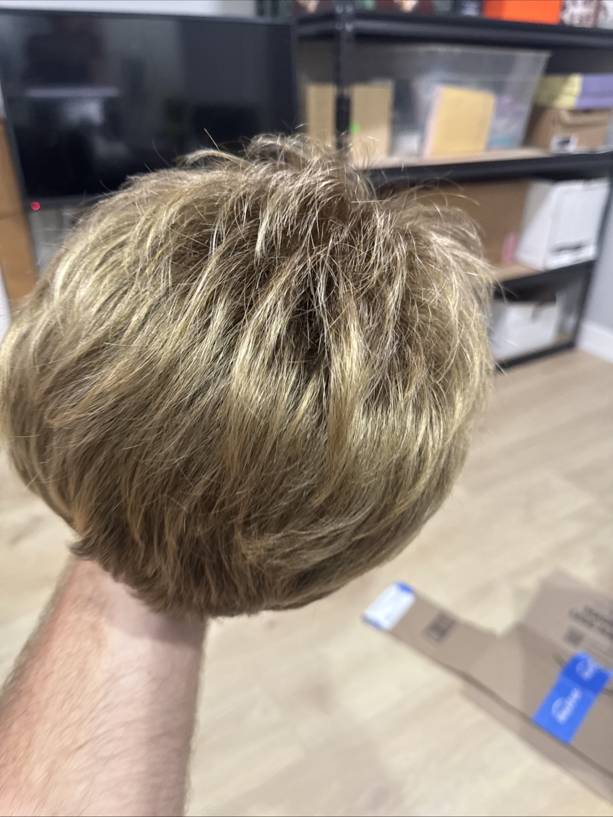 E NVY Wig AVERAGE TOASTED SESAME Light Brown / Dark Blonde Blend