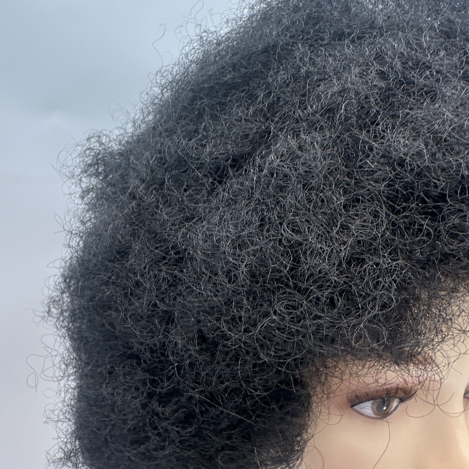 12″ Black Afro/kinky/curly Wig New With Tags, Synthetic, Wig Cap Included {22}