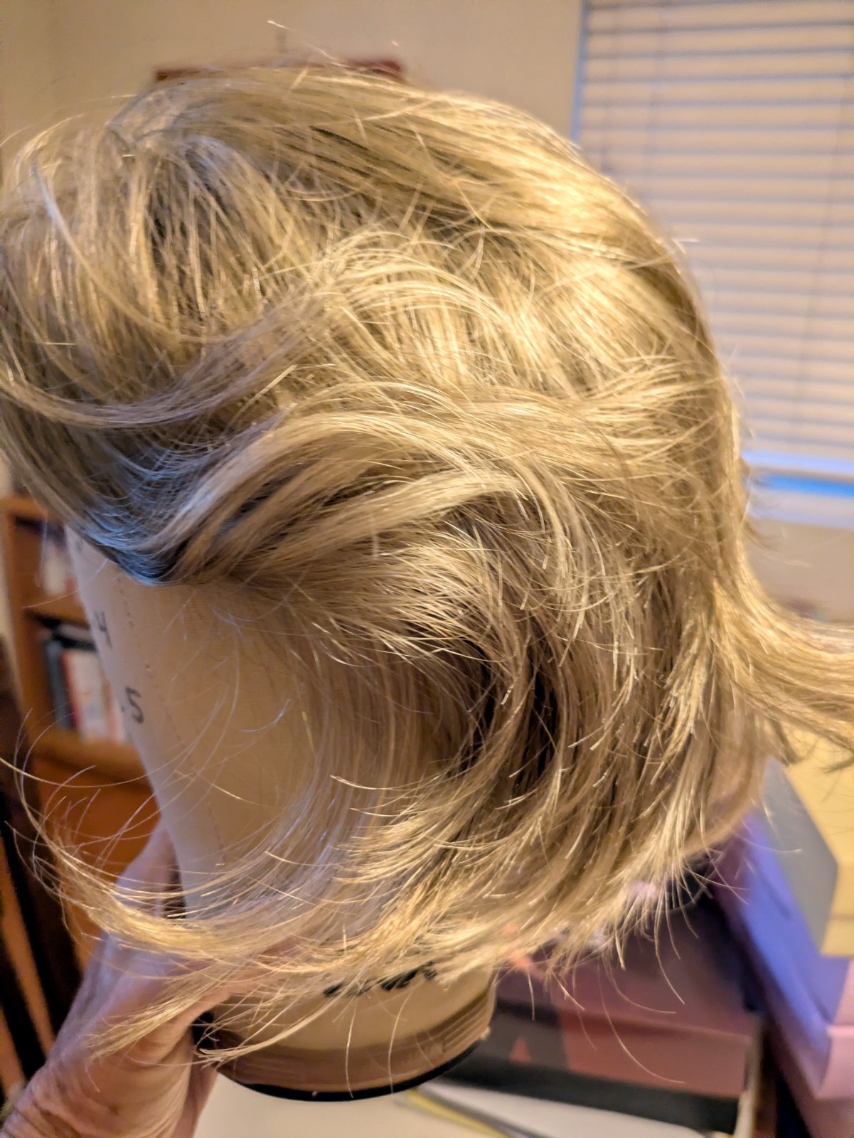 Paula Young Lace Front Hand tied Momo Part Hanson Wig In Warm Toffee Size Avg