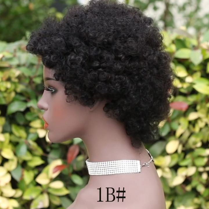 6″ Human Hair Wig Short Afro Kinky Curly Full Machine Made Wig for Black Women