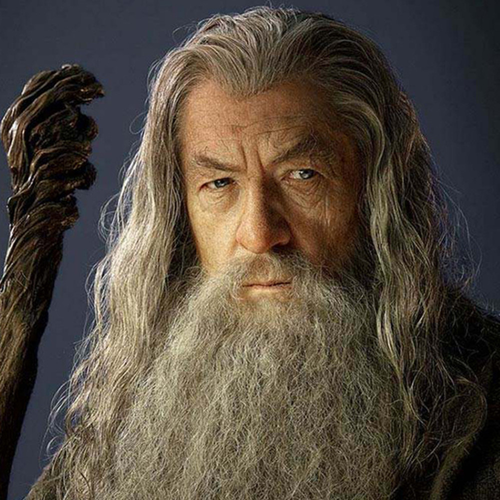 Movie The Lord of The Rings Cosplay Gandalf Wig Halloween Cosplay Costume Wig