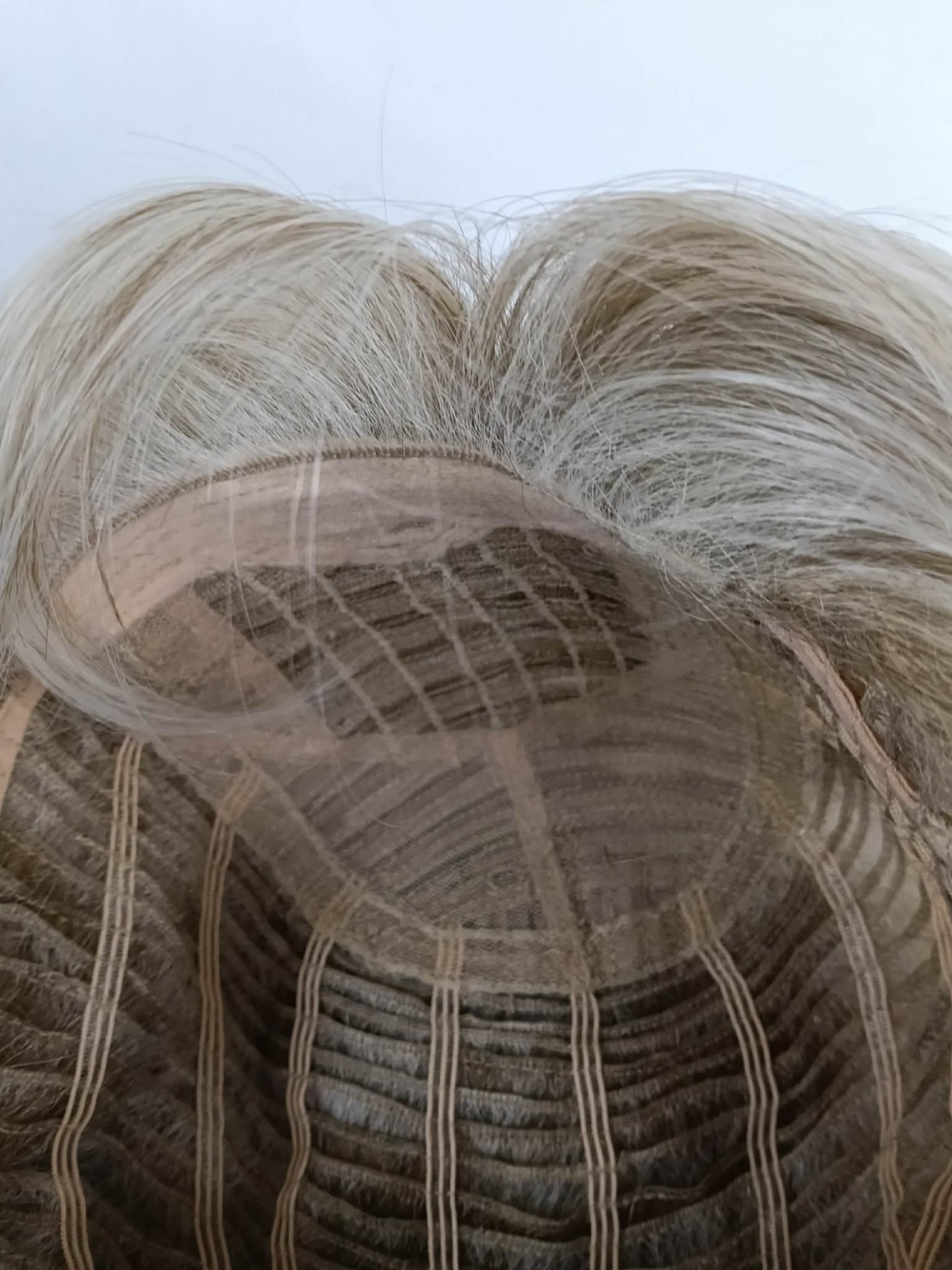 Raquel Welch Long Always Average CAP RL19/23 Biscuit Wig / New, Read*