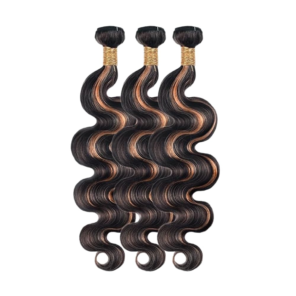 Ombre Bundles P1B30 Body Wave Human Hair Bundle Fridnae Hair Two Tone Black