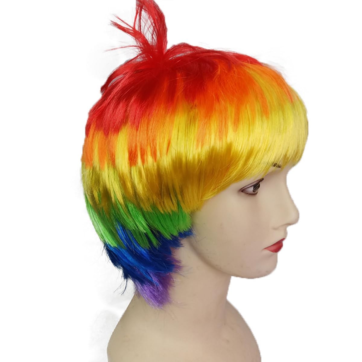 Rainbow LGBT Pride Day Synthetic Layered Short Straight Hair Wigs with Bangs …