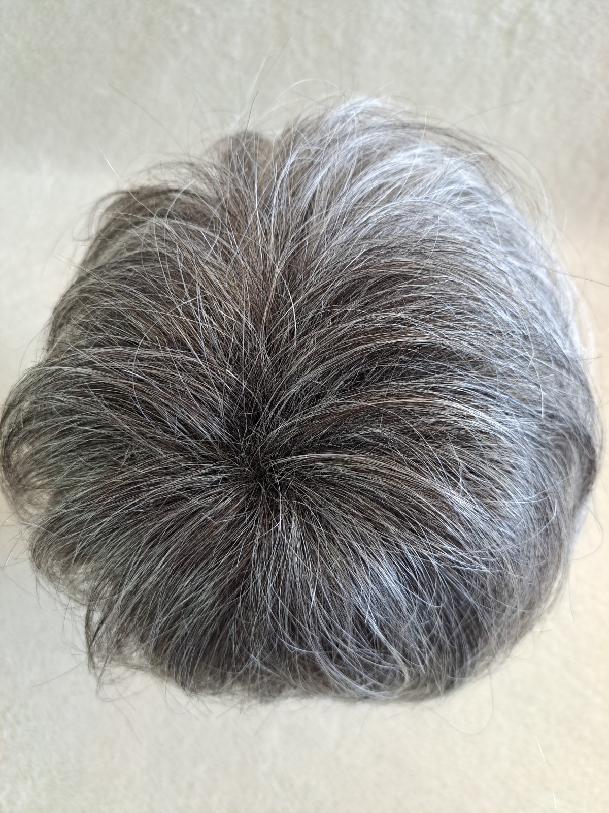 Raquel Welch Sheer Indulgence Wig RL511 Sugar & Charcoal Crowd Pleaser Hairuwear