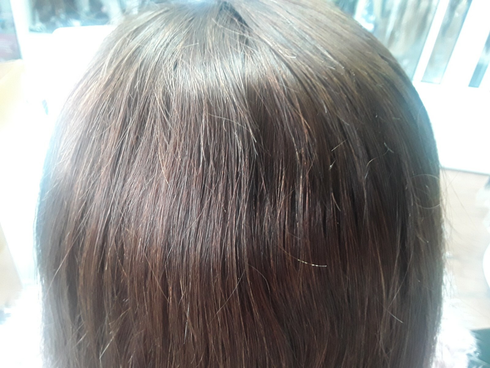 12A 20INCH BRAZILIAN CHESTNUT BROWN 4# GLUELESS SILK BASE TOP FULL LACE WIG 180%
