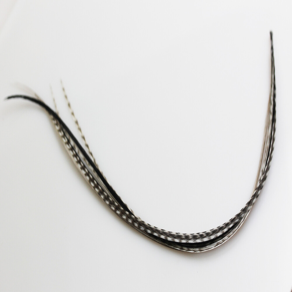 Hair feather extensions long whiting grizzly rooster extension