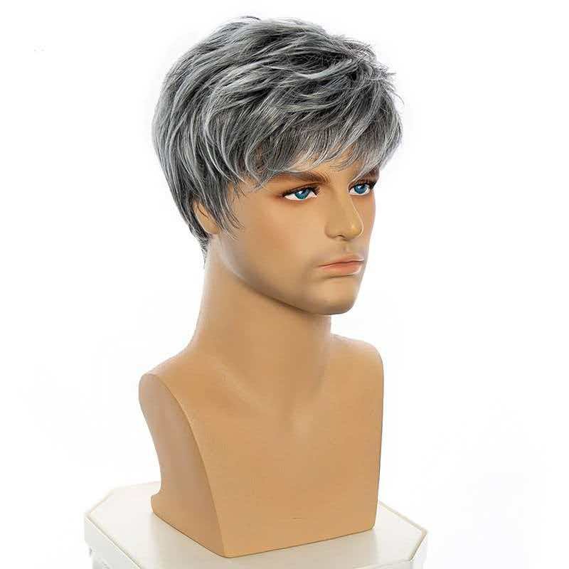 Men’s 6in Short Silver Gray Wig for Men Full Synthetic Heat Resistant Daily Wear