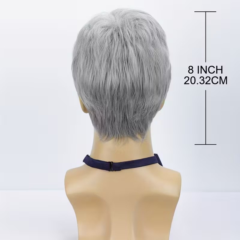 Men Grey Wig Gray Layered Short Beanie Hairpiece Dress Up Universal Cosplay Wigs
