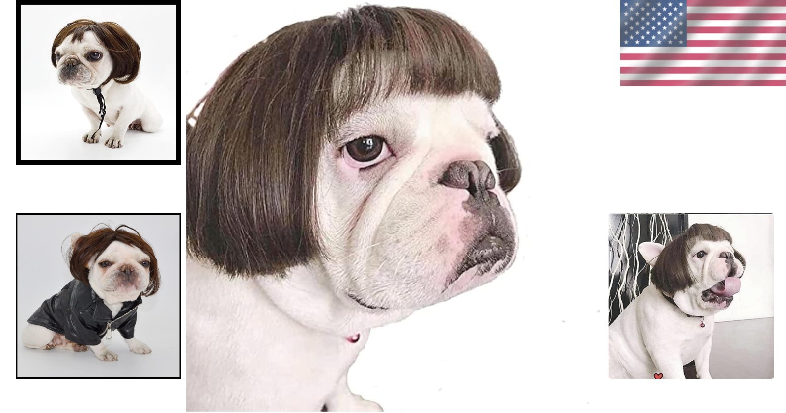Versatile Black Brown Dog Costume Wig – Celebrate Halloween & Christmas
