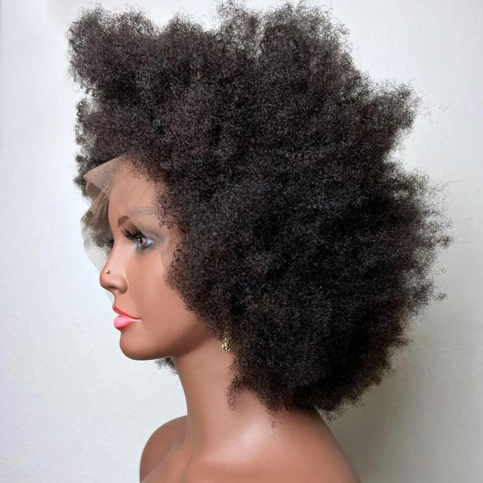Afro Kinky Curly 4B 4C Human Hair Short Lace Front Wigs For Woman Brazilian Remy