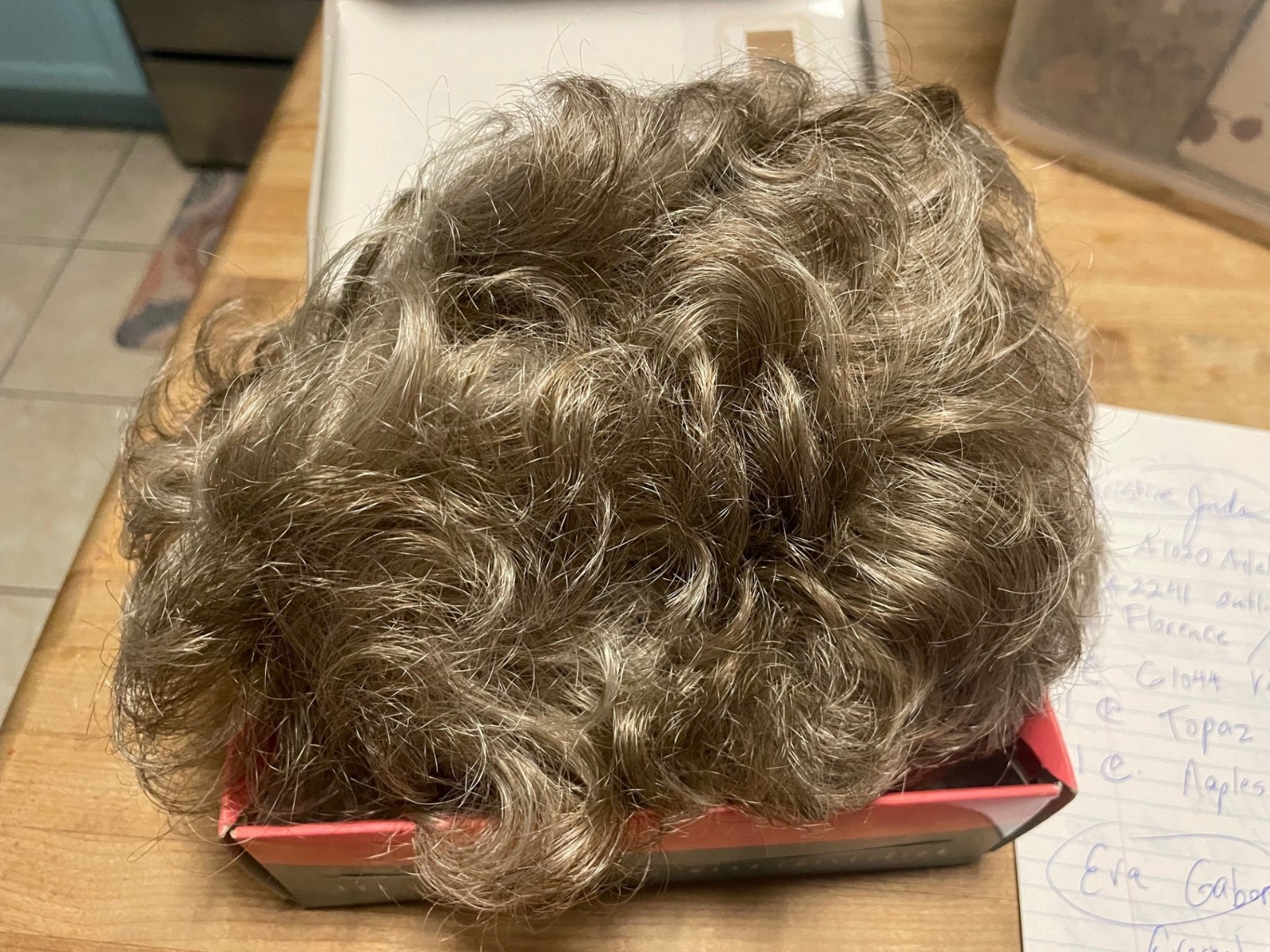 Eva Gabor “Soft N Lite” PA color 17/101C Wig New
