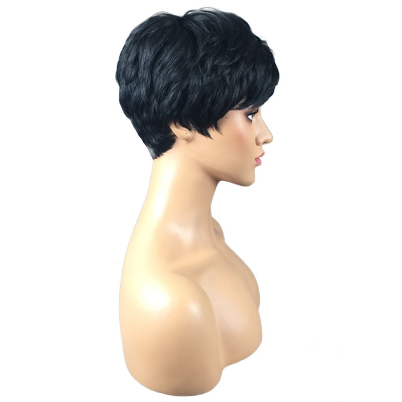 Women 24cm Short Synthetic Wig Soft Hair Fashion Daily Party Casual Accessory