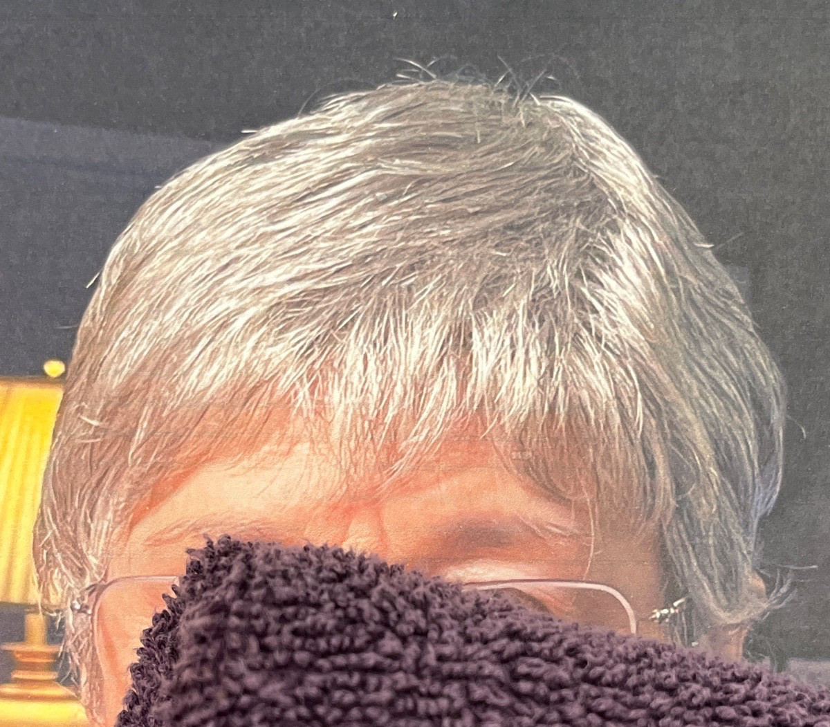 Women’s Short Wig Grey Ladies Wigs Synthetis Kanekalon fiber