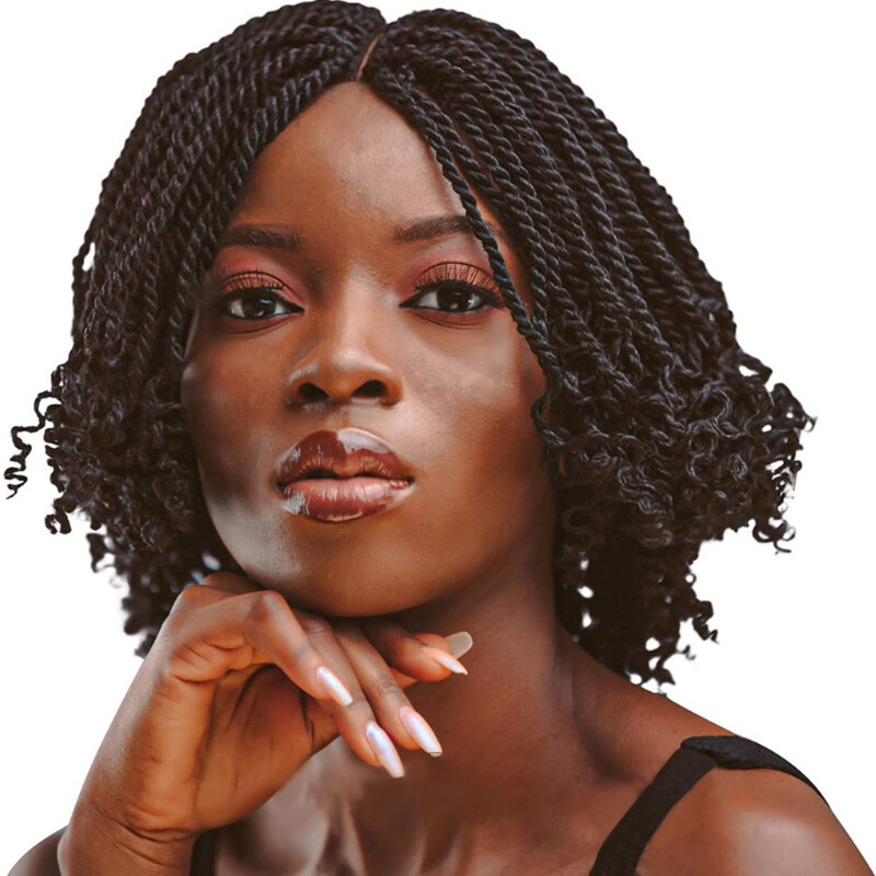 Short Bob Wig Braids Wig for Black Women withTwist Curly Braided Wigs None Lace