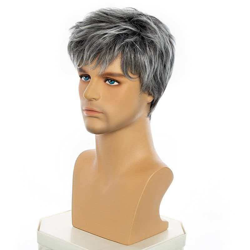 Men’s 6in Short Silver Gray Wig for Men Full Synthetic Heat Resistant Daily Wear