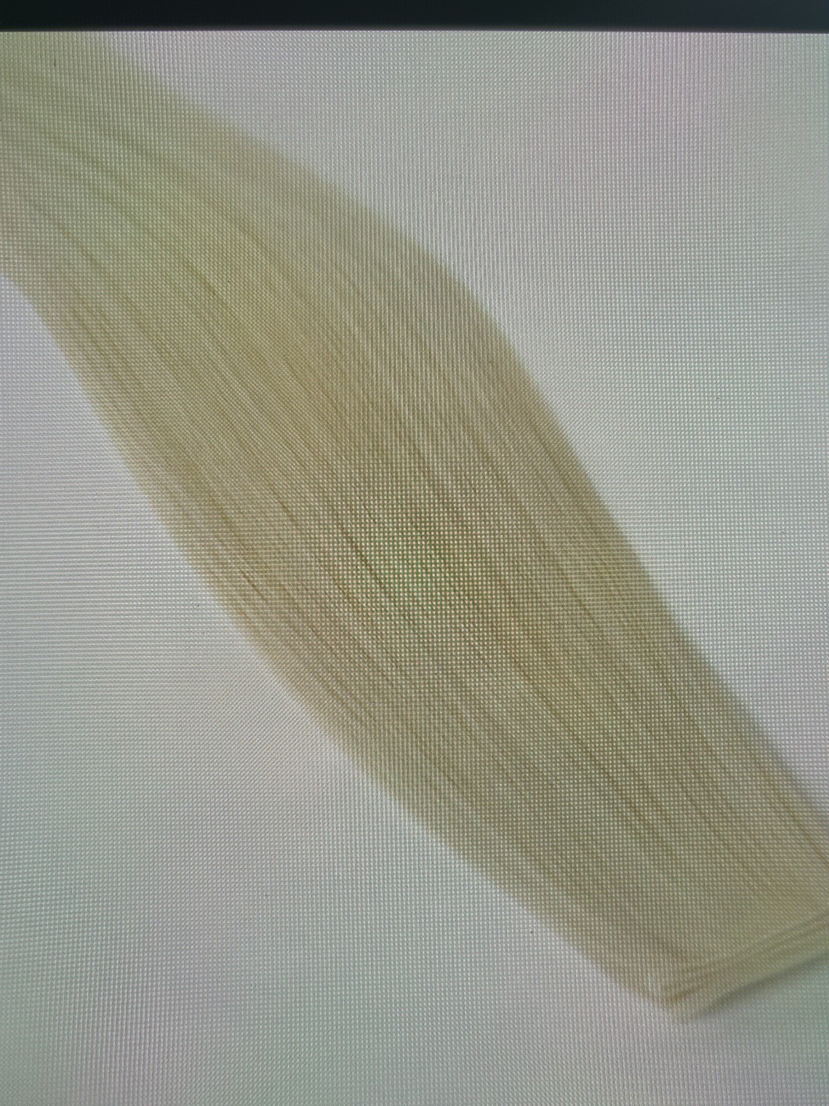 JZ Styles J Tied Wefts Hair Extensions 100% Human Blond 22”