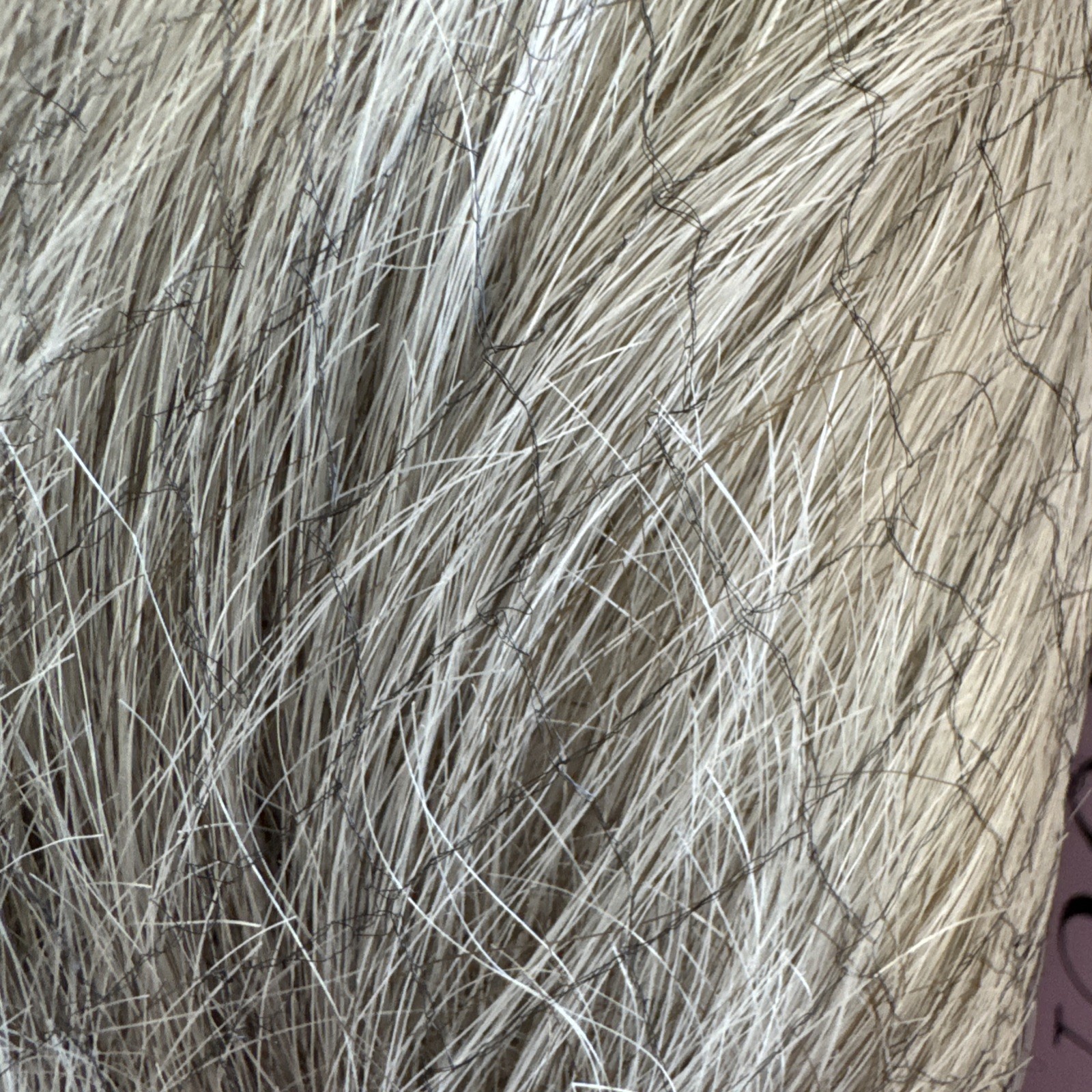 Paula Young Wig A209456P CELEBRITY 56 P Silver 90% Gray 10% Brown/Black NIB