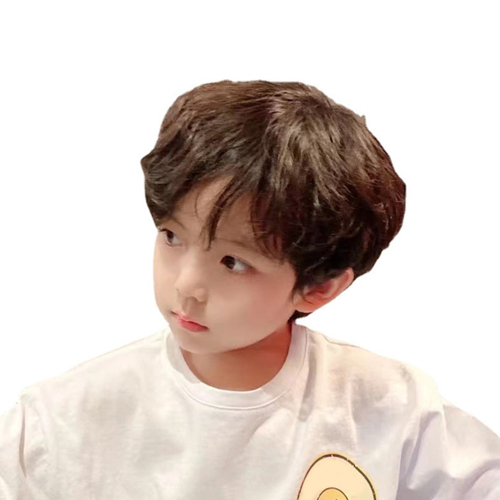 Boy Curly Short Wig Boy Fluffy Texture Curly Short Synthetic Hair For Childern